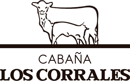 Cabaña Los Corrales, Quehué, La Pampa.