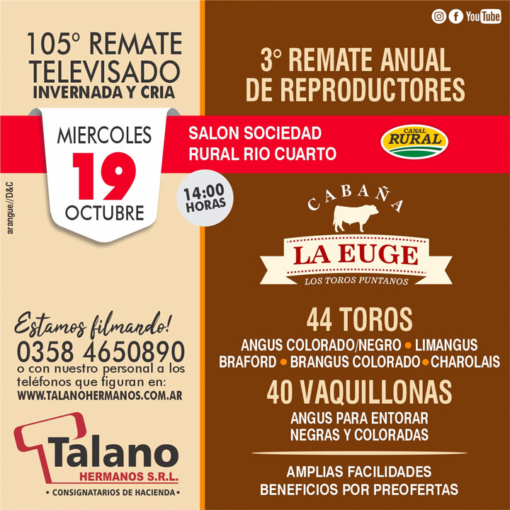 44 toros: Angus Negros y Colorados, Limangus, Braford, Brangus Colorado y Charolais. 40 vaquillonas Angus para entorar negras y coloradas. 