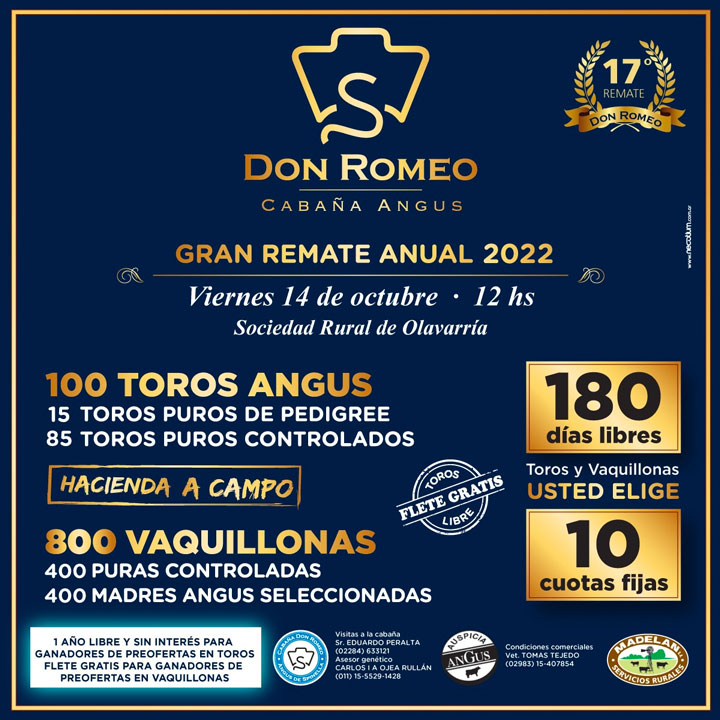 Cabaña Don Romeo, Angus de Spinella, en Olavarría: 100 Toros Angus (15 Puros de Pedigree y 85 Puros Controlados). 800 Vaquillonas (400 Puras Controladas y 400 Madres Angus Seleccionadas - MAS). 