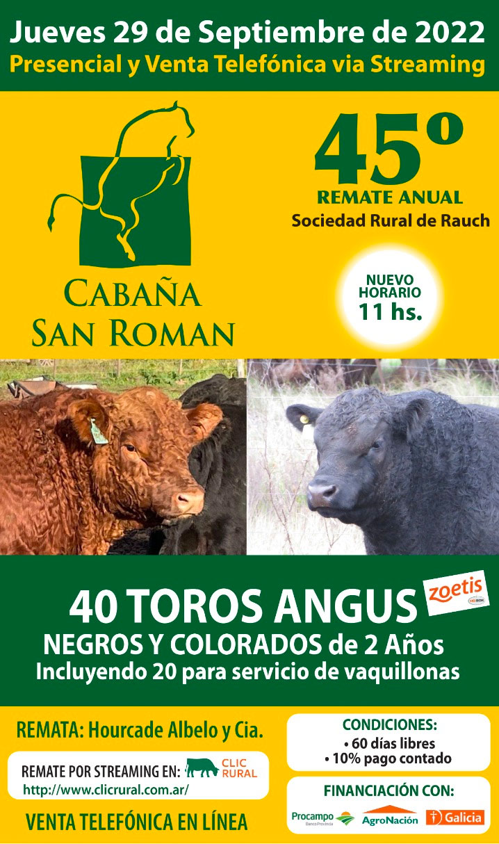 Cabaña San Román. Rauch. Buenos Aires. Toros Angus negros y colorados.