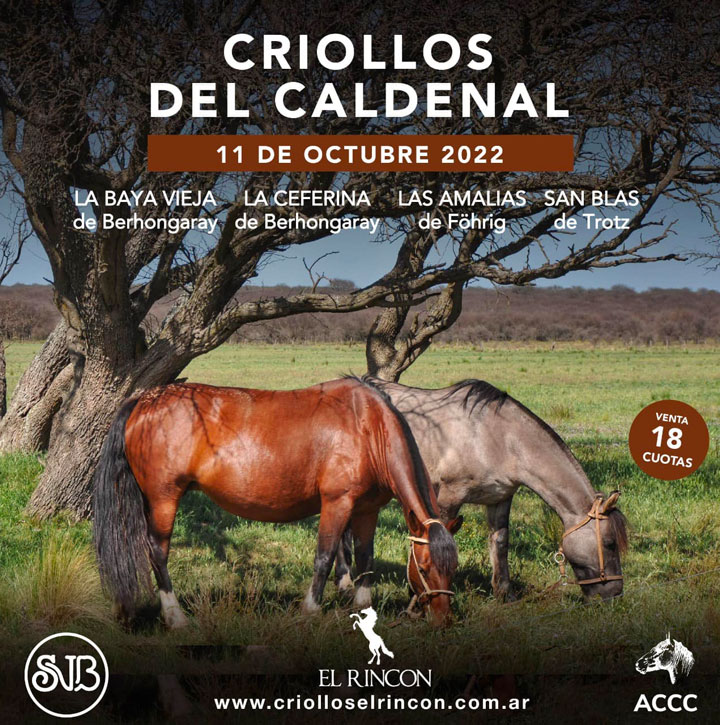 Cabaña San Blas de Trotz, Cabaña La Baya Vieja de Berhongaray, Cabaña La Ceferina de Berhongaray y Cabaña Las Amalias de Föhrig son las cabañas de Caballos Criollos del Remate del Caldenal.