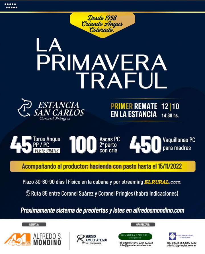 Estancia San Carlos, La Primavera Traful, Desde 1958 Criando Angus Colorado: 45 Toros Angus PP y PC. 100 Vacas PC 2º Parto con cría. 450 Vaquillonas PC para madres.