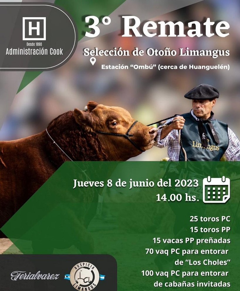 3° Remate Selección de Otoño Limangus el Jueves 8 de Junio de 2023
